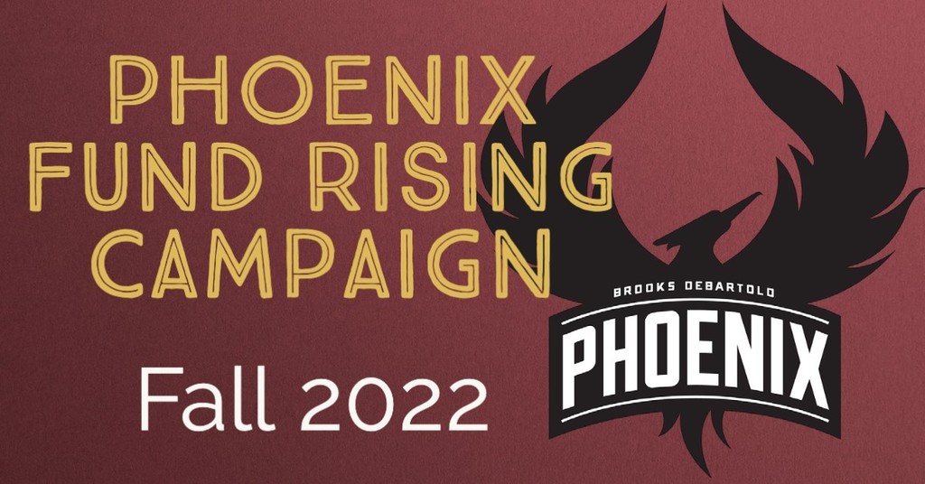 Phoenix Fund Graphic